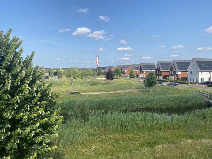 Foto 39 van Lisdodde 64