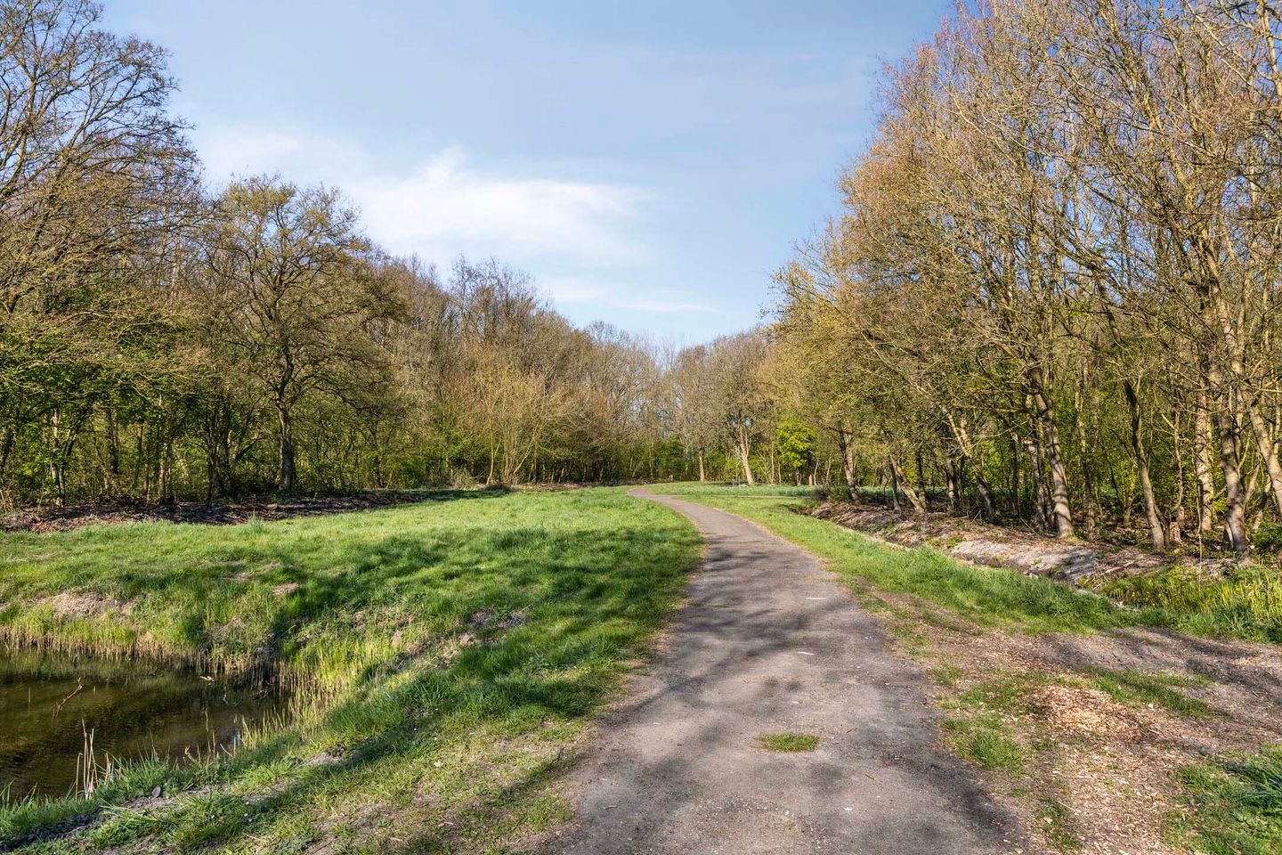 Foto 29 van Hermanus Reyntjeslaan 80-A