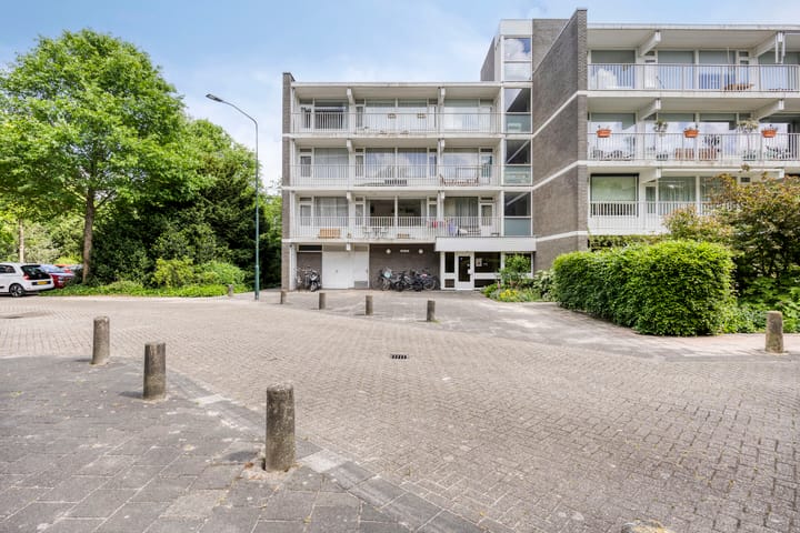 Foto 6 van Tulpentuin 51