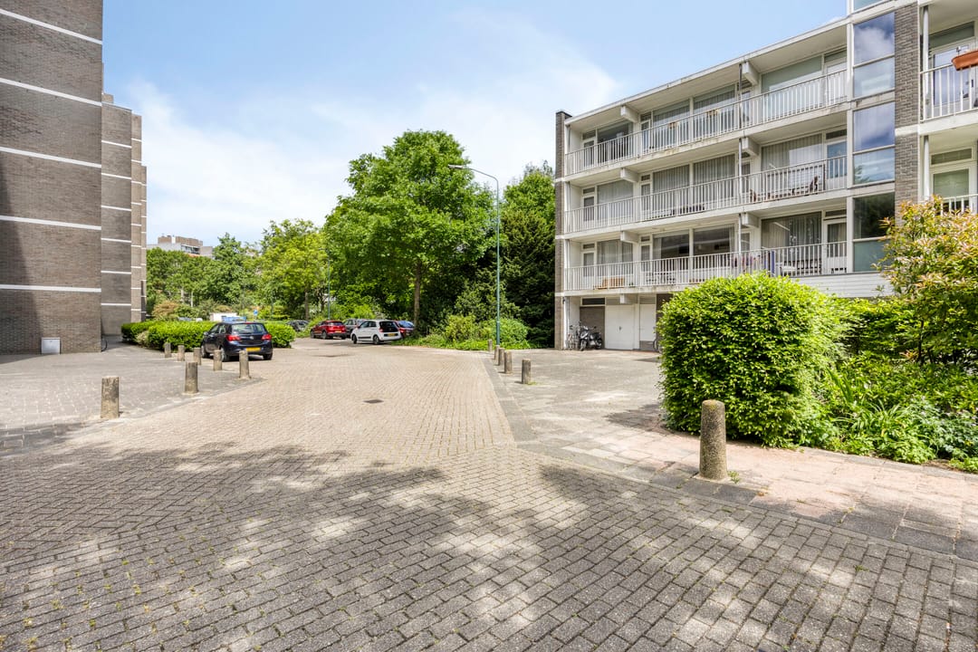 Foto 7 van Tulpentuin 51