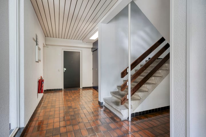 Foto 9 van Tulpentuin 51