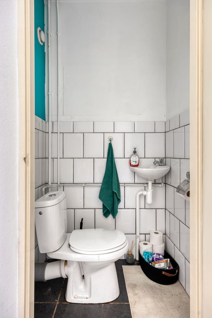 Foto 11 van Tulpentuin 51