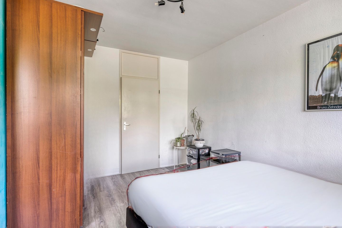 Foto 19 van Tulpentuin 51