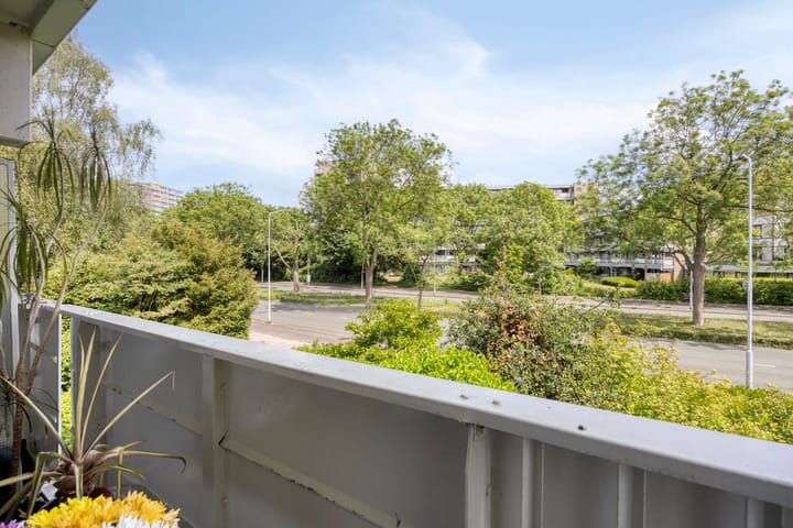 Foto 24 van Tulpentuin 51