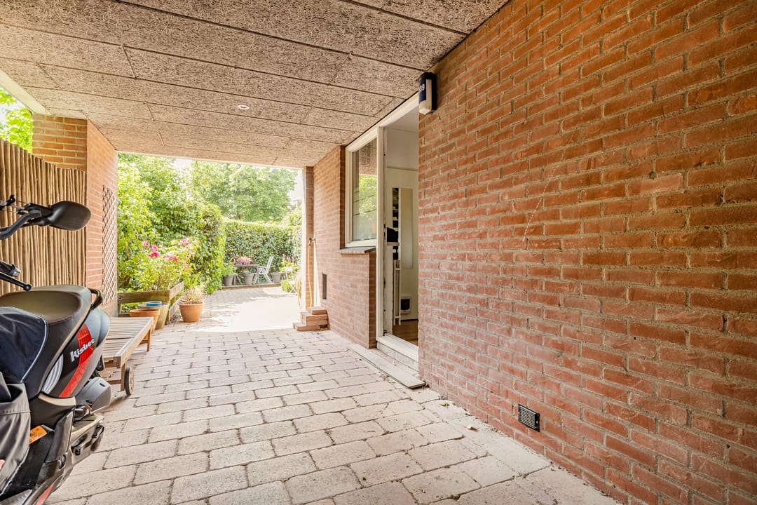 Foto 2 van Zebraspoor 239