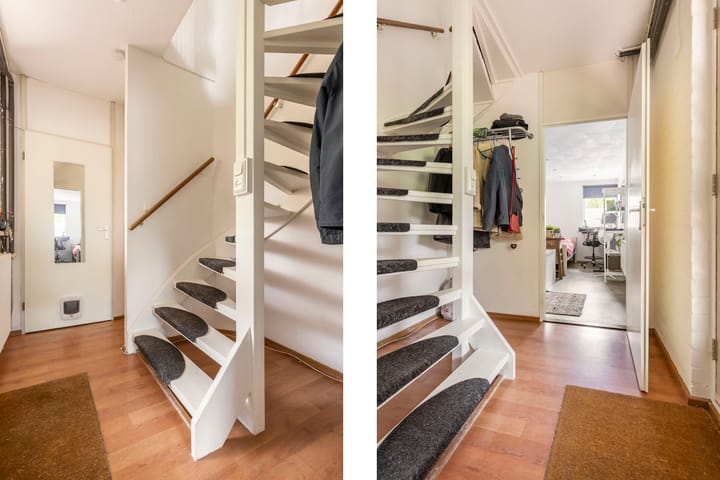 Foto 3 van Zebraspoor 239