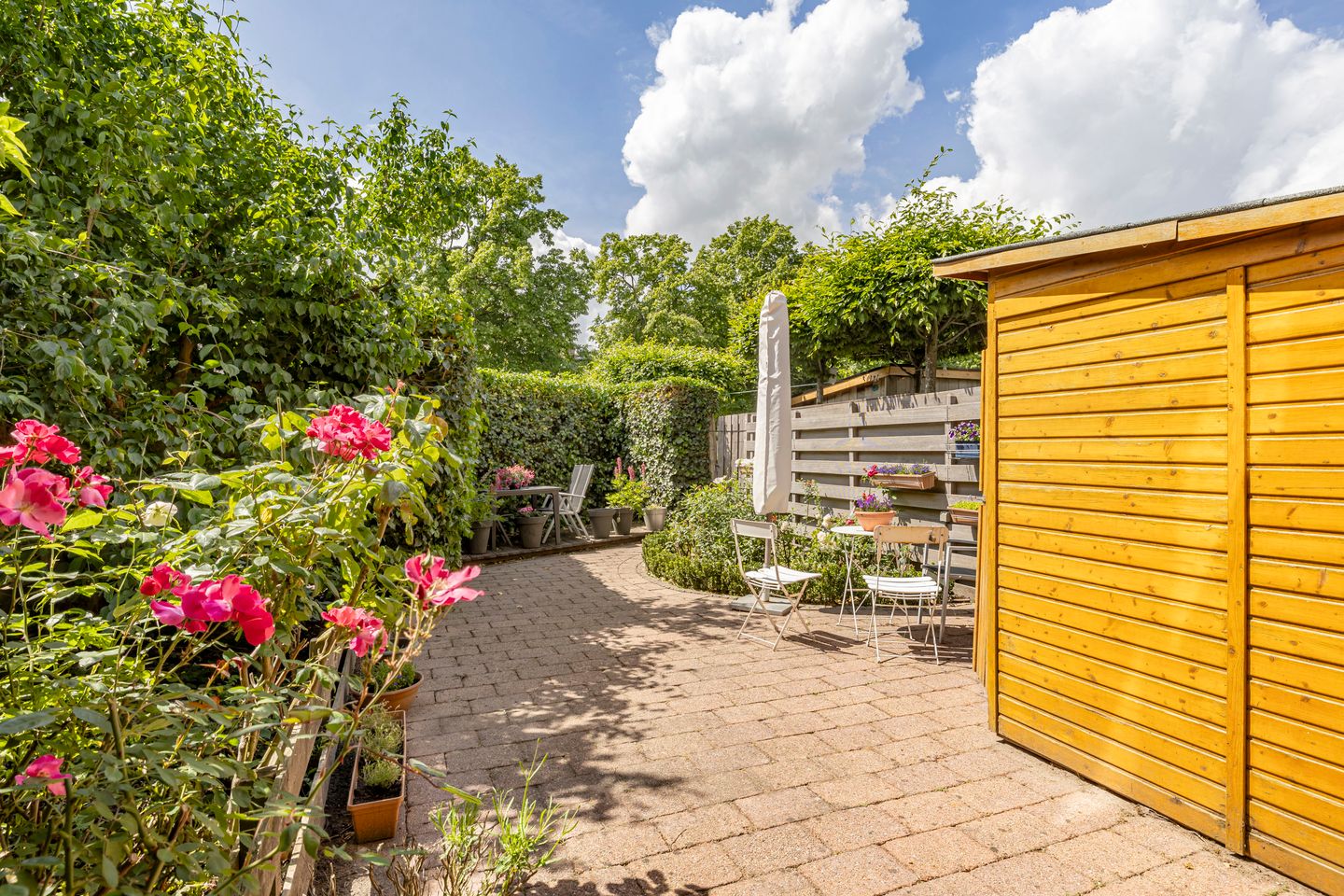 Foto 19 van Zebraspoor 239