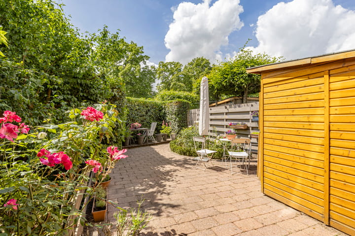 Foto 19 van Zebraspoor 239