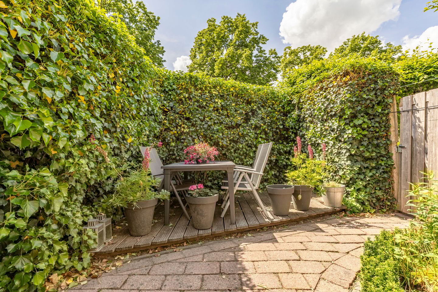 Foto 20 van Zebraspoor 239