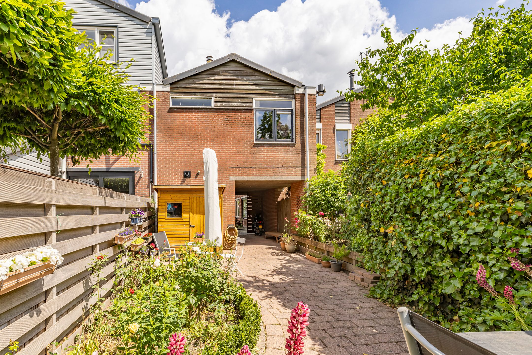 Foto 21 van Zebraspoor 239