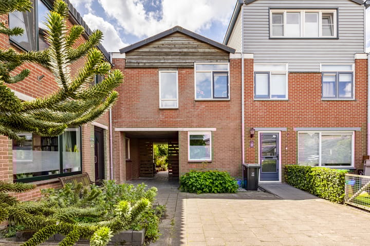 Foto 23 van Zebraspoor 239