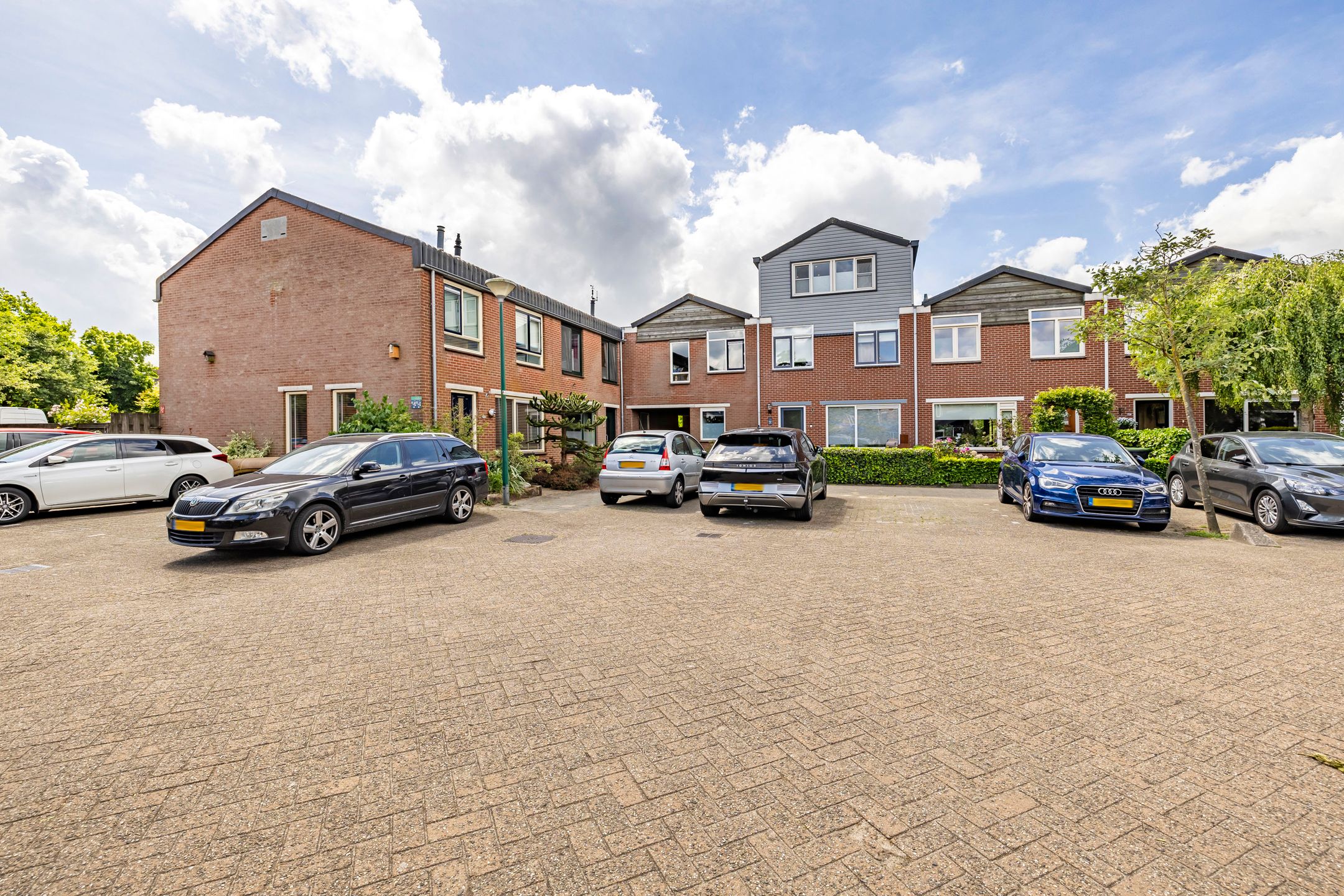 Foto 24 van Zebraspoor 239