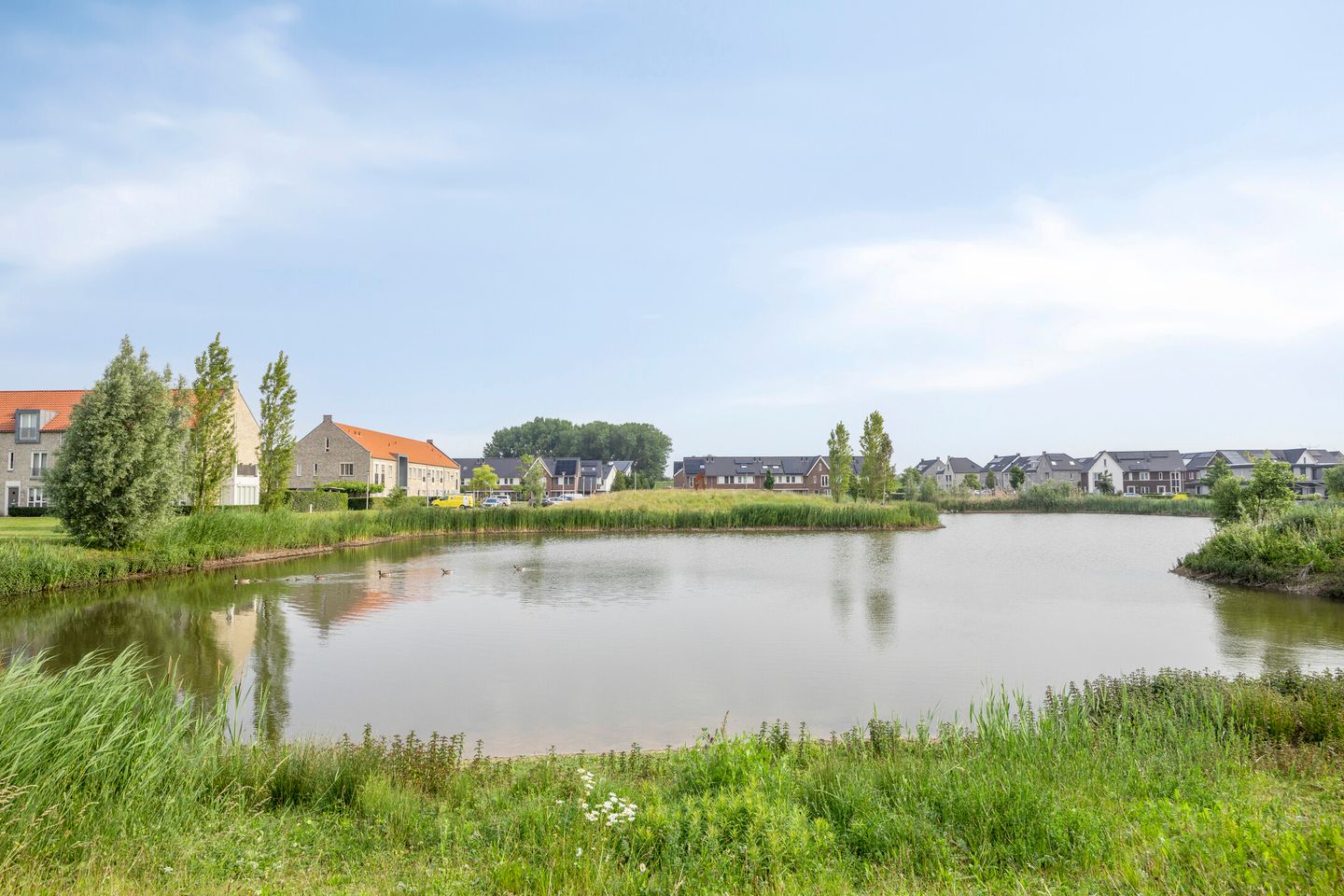 Foto 49 van Dericks en Geldens 31