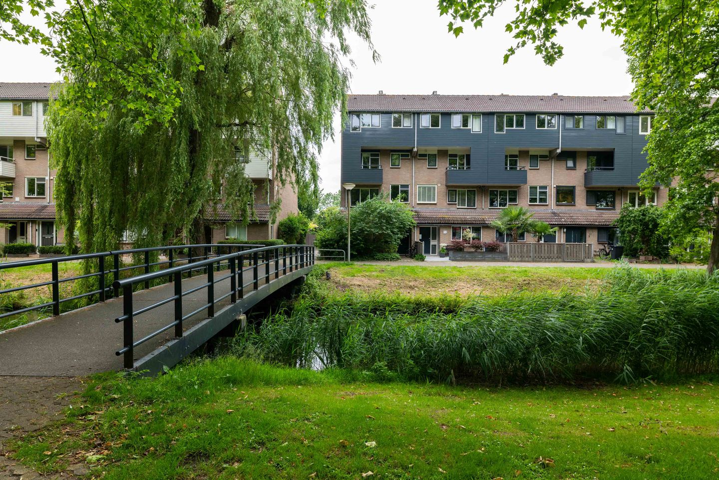 Foto 1 van Klaverruiter 25