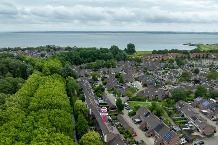 Foto 3 van Klaverruiter 25