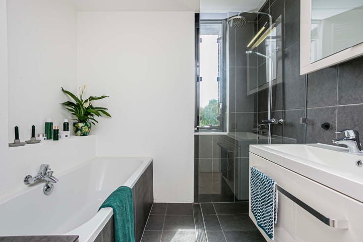 Foto 15 van Dudoksingel 3