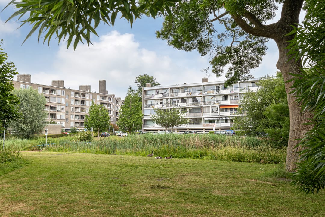 Photo 31 of Barnsteenhorst 174