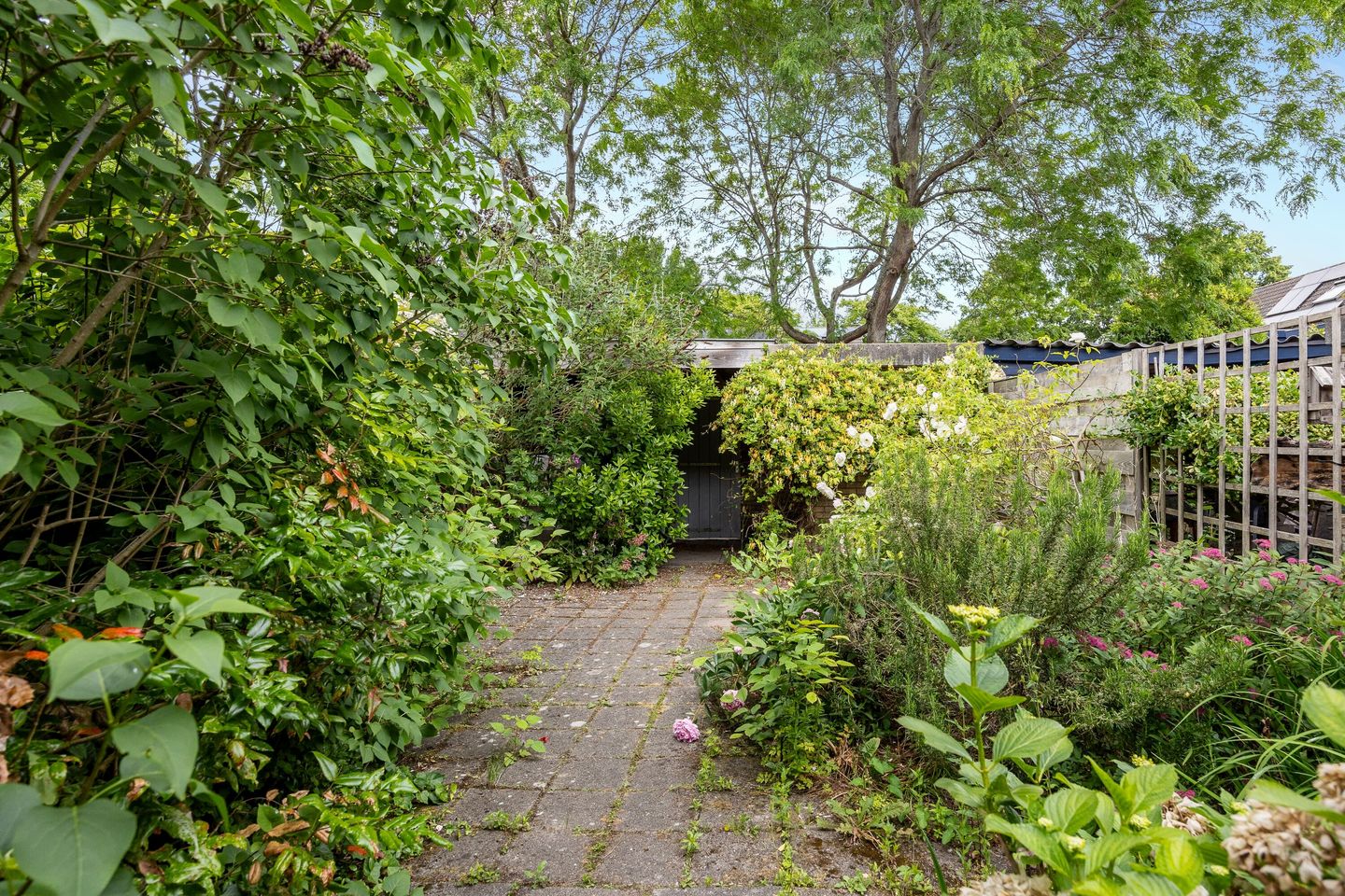 Foto 10 van Bitterschoten 8