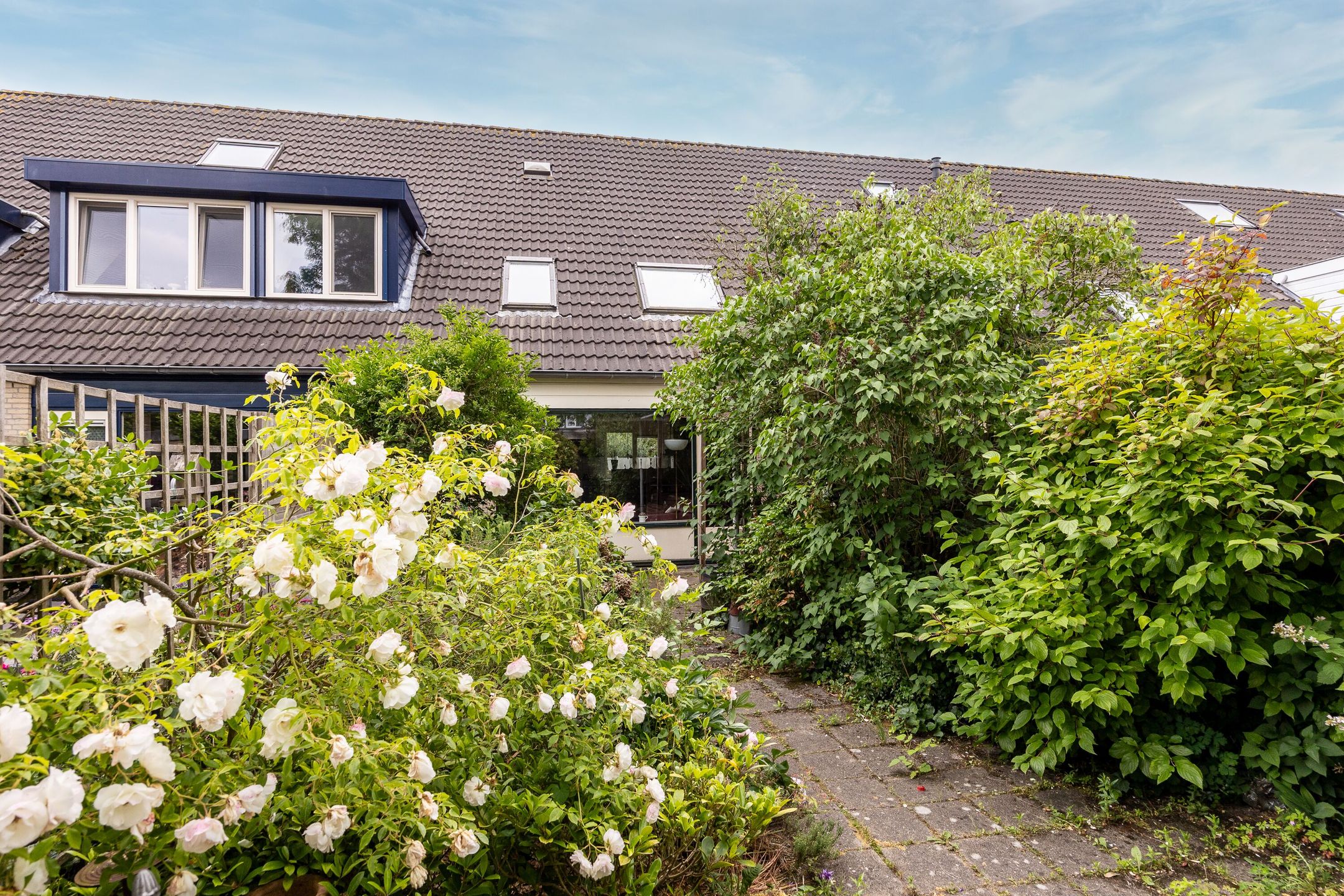 Foto 12 van Bitterschoten 8