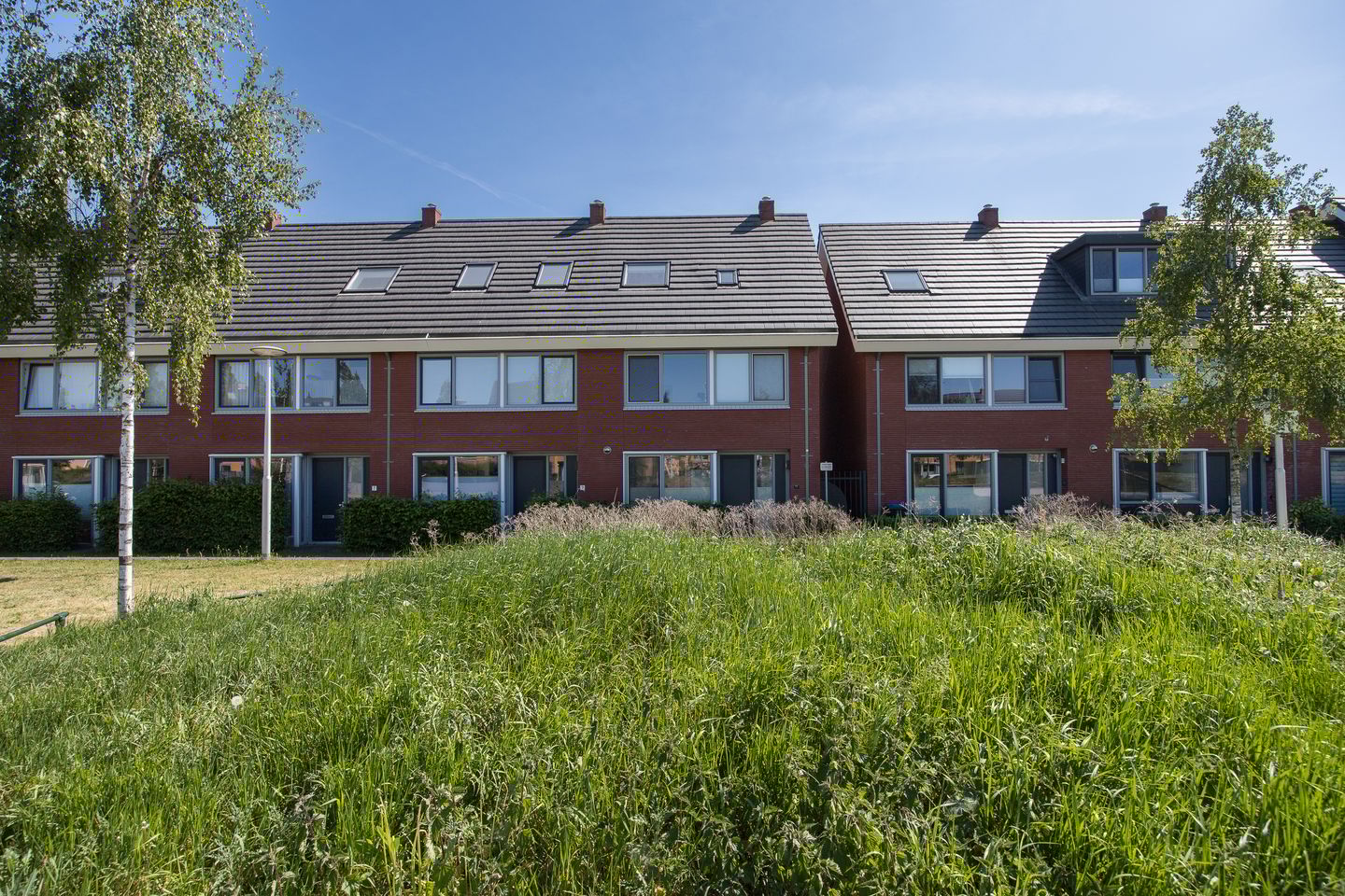 Photo 40 of Guus Vleugelplantsoen 11