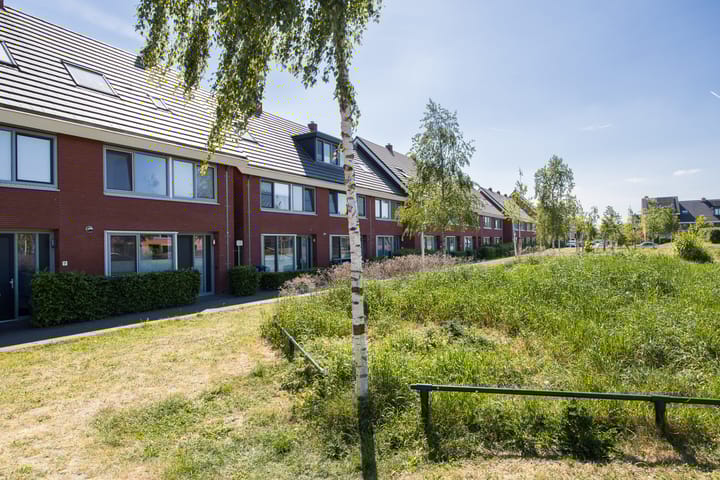 Foto 42 van Guus Vleugelplantsoen 11