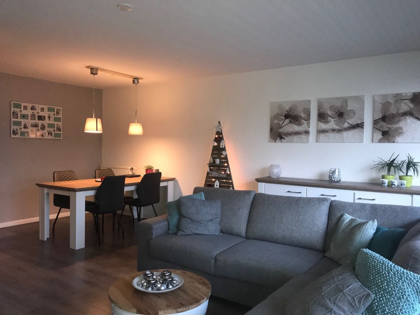 Foto 4 van Dillegaard 54