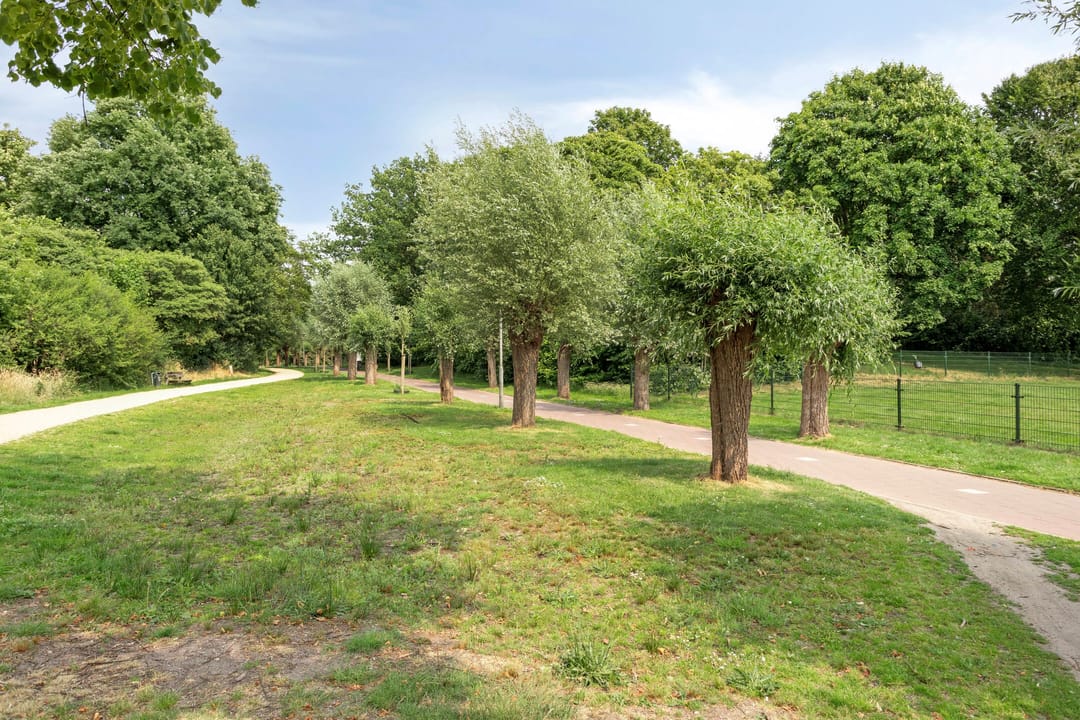 Foto 38 van Jonkerveld 170