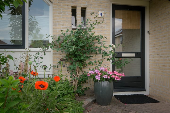 Foto 5 van Montfort 4