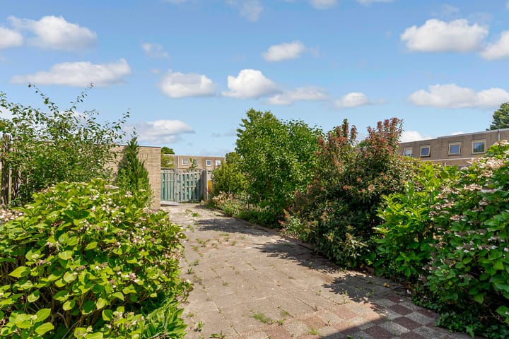 Foto 23 van Distelweg 50