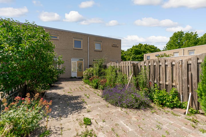 Foto 24 van Distelweg 50