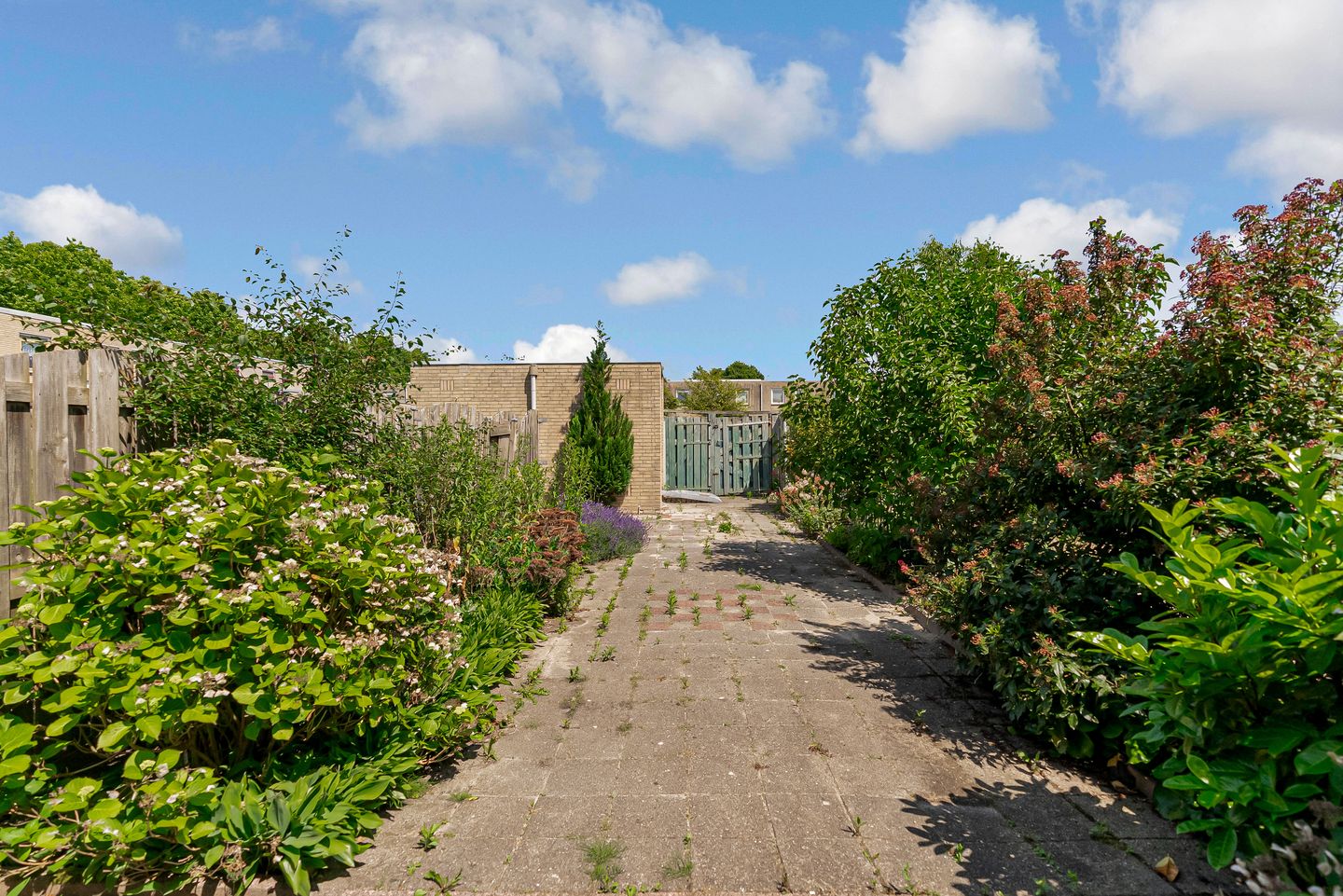 Foto 25 van Distelweg 50