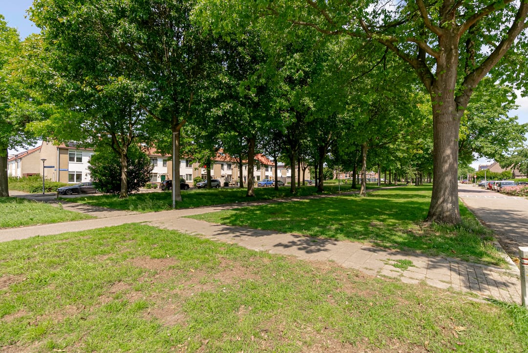 Foto 32 van Distelweg 50