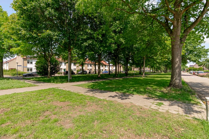 Foto 32 van Distelweg 50