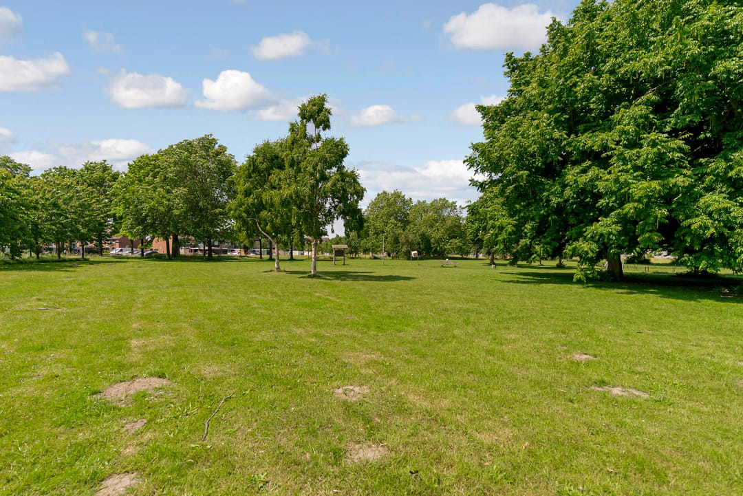 Foto 37 van Distelweg 50