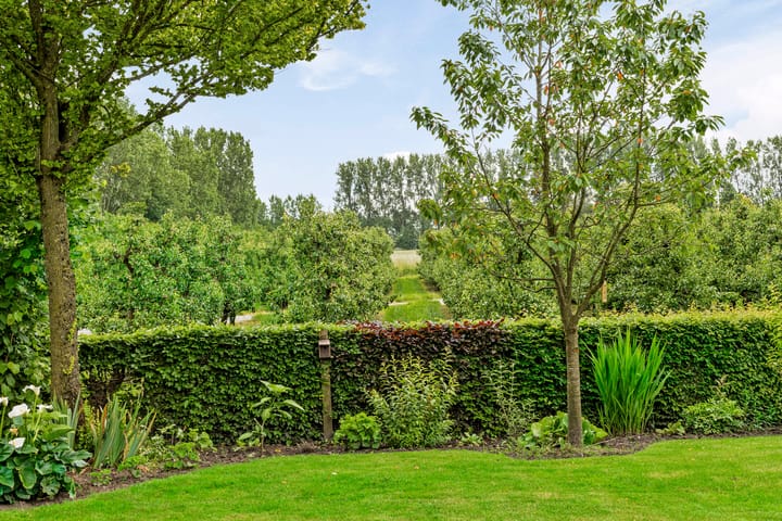 Foto 29 van Boskantseweg 81