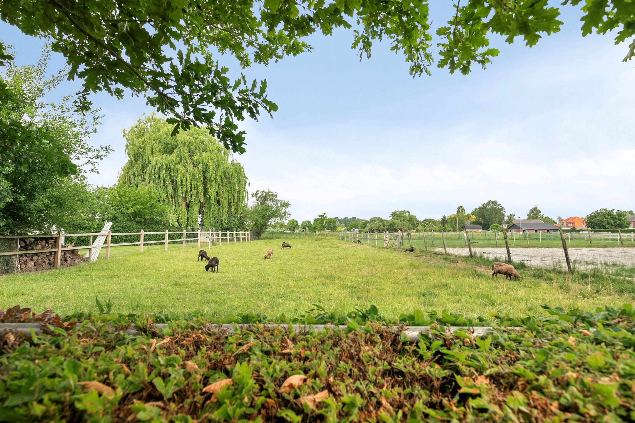 Photo 3 of Burgemeester van Rijswijkstraat 8