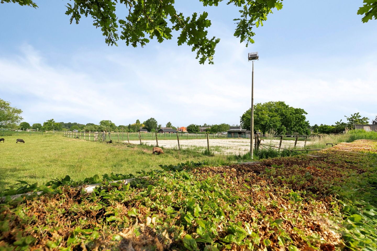 Photo 4 of Burgemeester van Rijswijkstraat 8