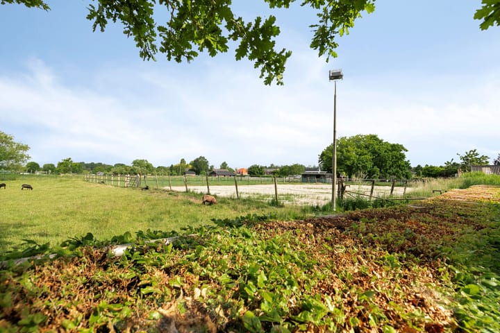 Foto 4 van Burgemeester van Rijswijkstraat 8