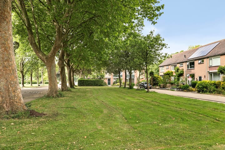 Foto 5 van Burgemeester van Rijswijkstraat 8