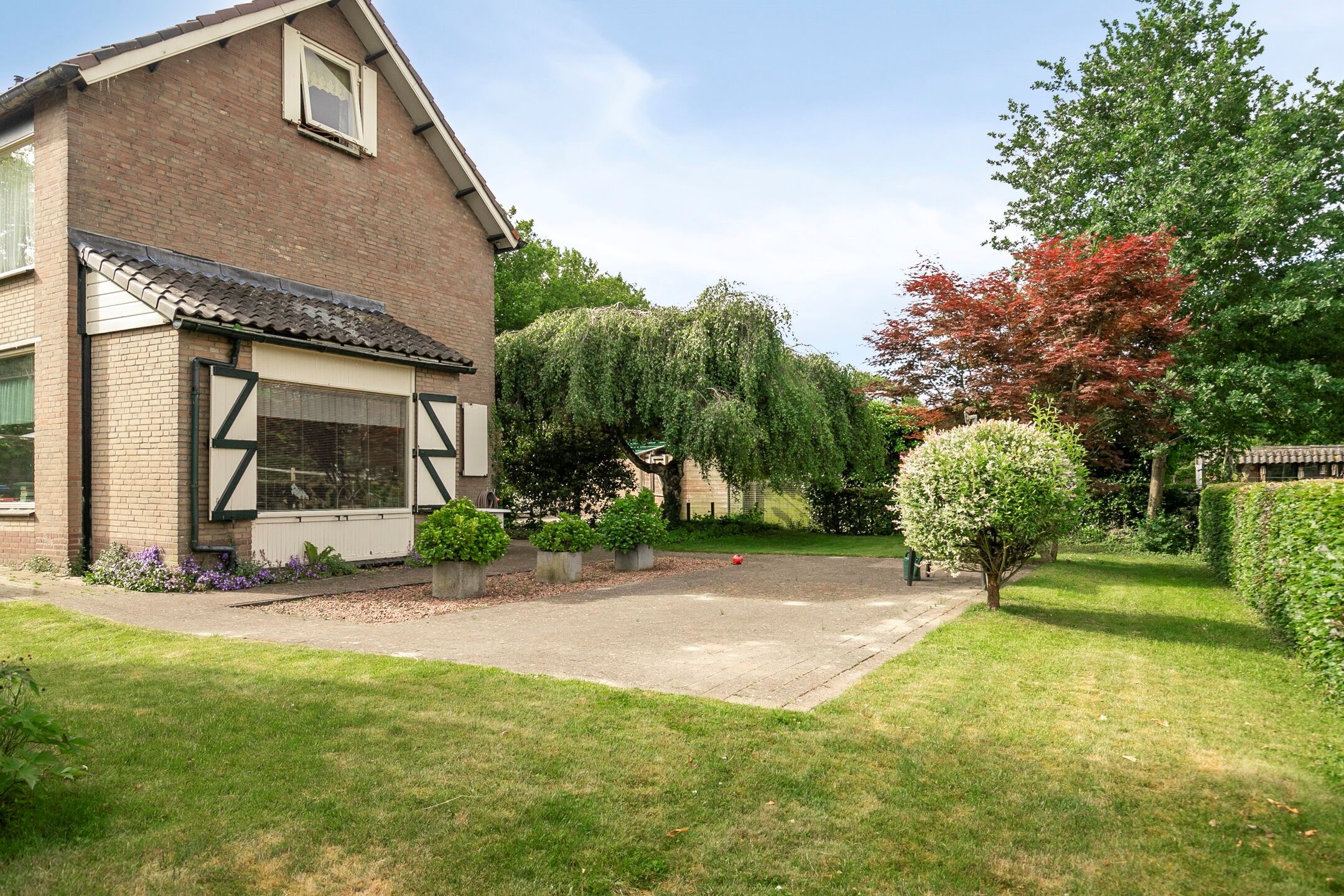 Photo 6 of Burgemeester van Rijswijkstraat 8