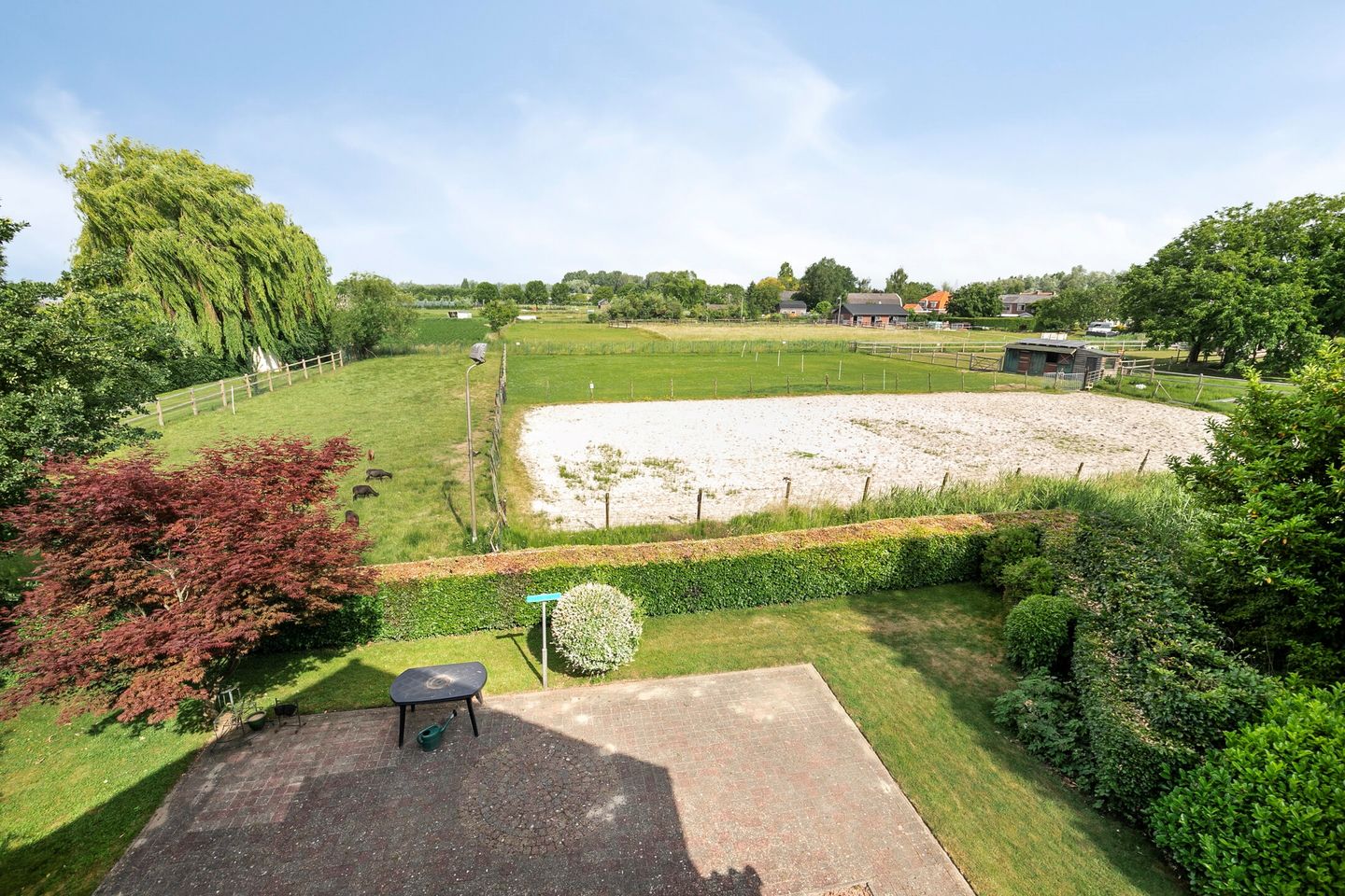 Photo 10 of Burgemeester van Rijswijkstraat 8