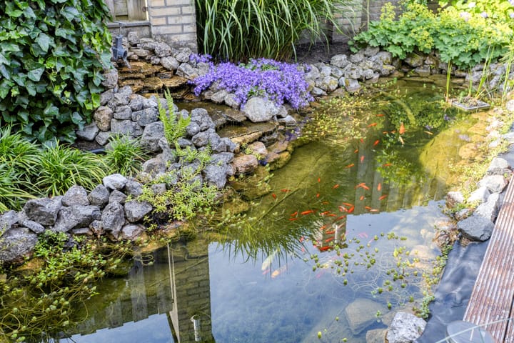 Foto 32 van Europalaan-Noord 83