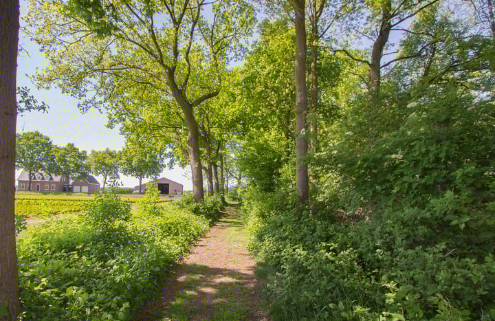 Foto 3 van Kleine Heistraat 16-K421