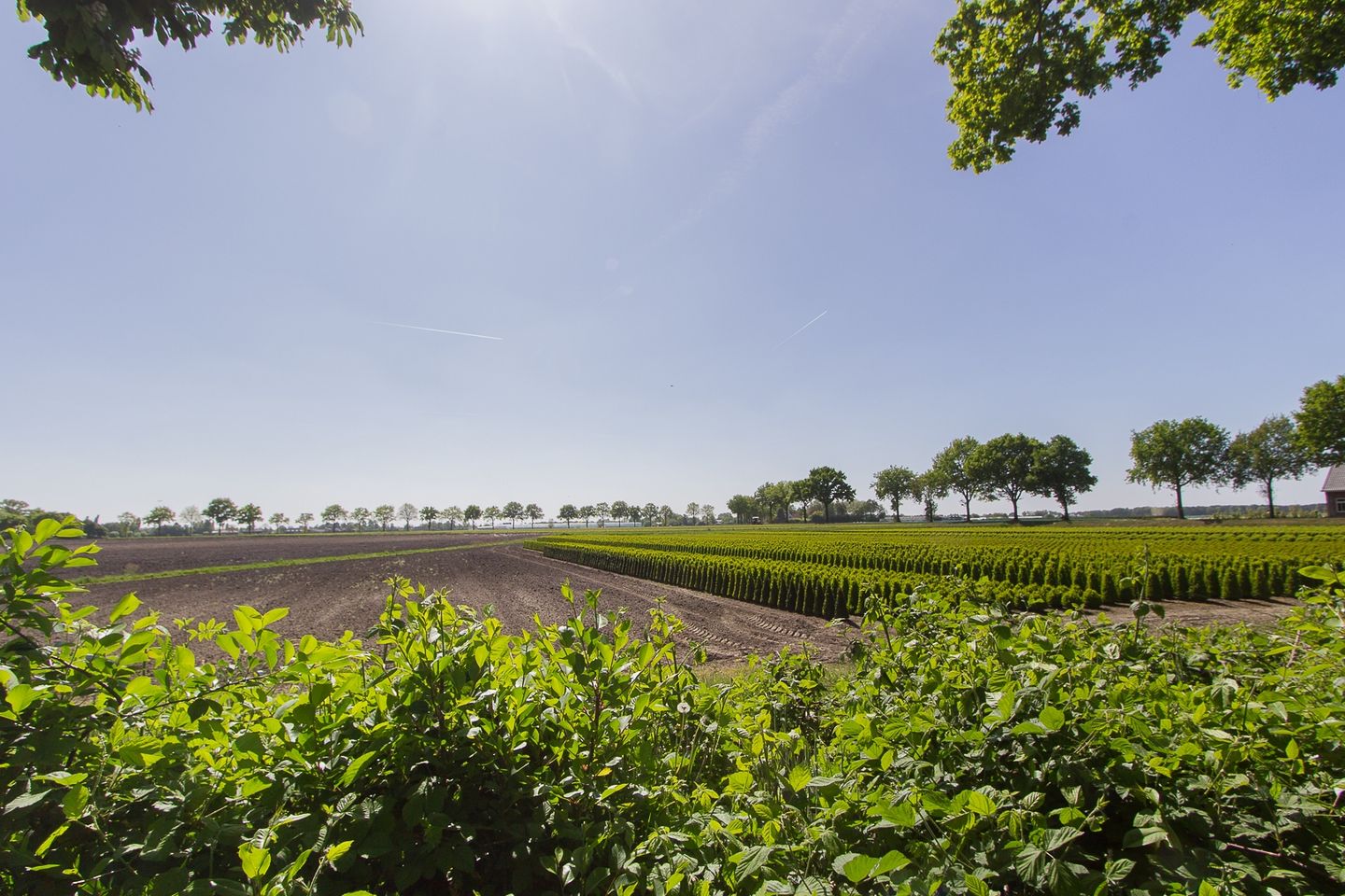 Photo 4 of Kleine Heistraat 16-K421