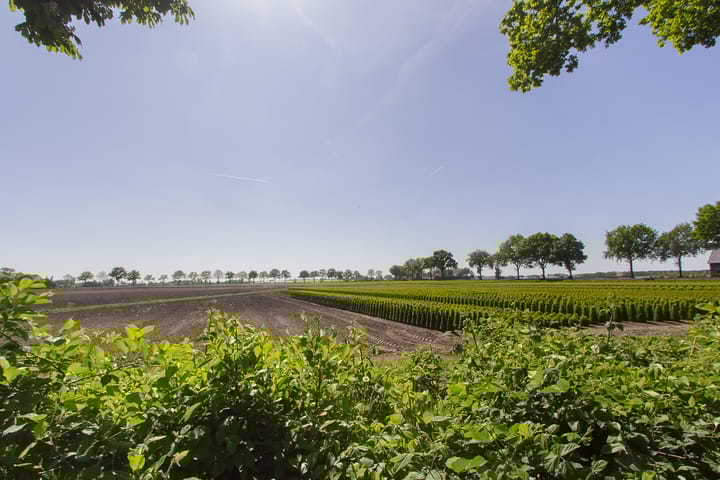 Foto 4 van Kleine Heistraat 16-K421