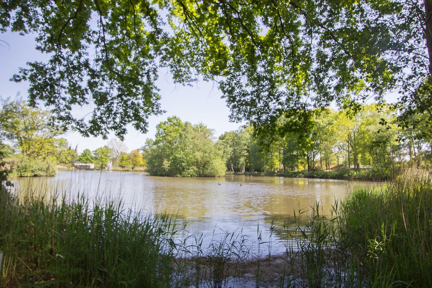 Photo 5 of Kleine Heistraat 16-K421