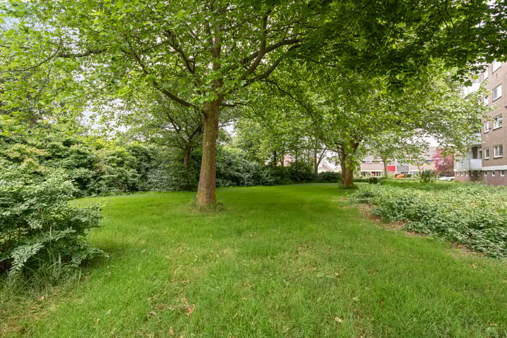 Foto 21 van Mascagnistraat 26