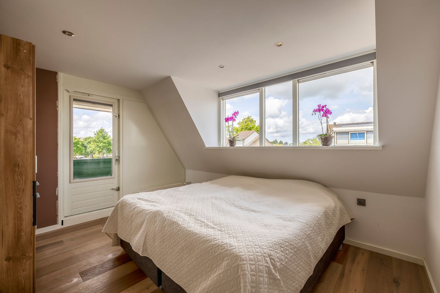 Photo 20 of Schieland 9