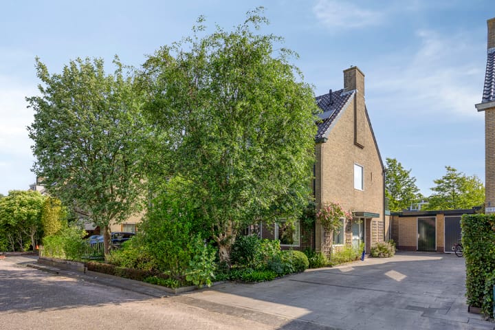 Foto 1 van Koningsvaren 105