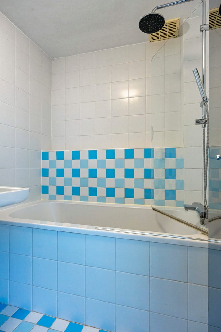 Foto 22 van Koningsvaren 105